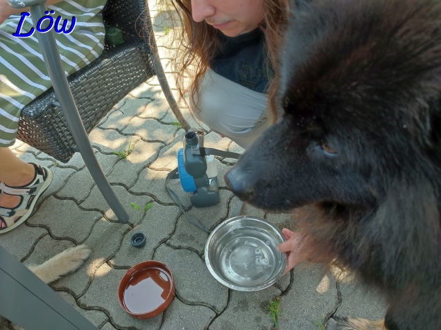 18.8.2024 - Wasser
